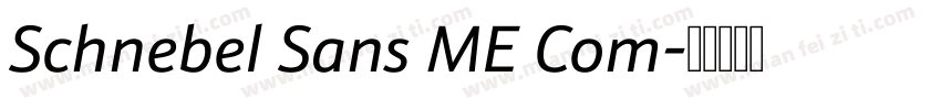 Schnebel Sans ME Com字体转换